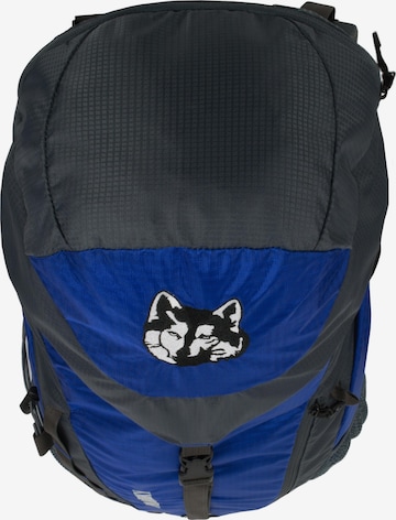 Polar Husky Sports Backpack 'Paul' in Blue