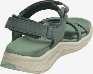 ECCO Sandals in Green