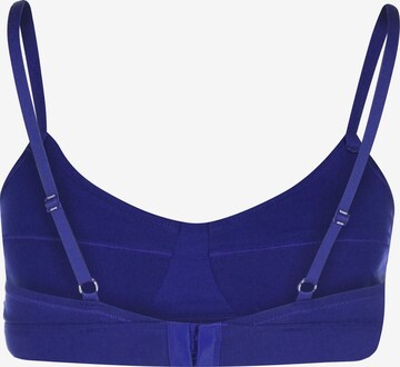 TOMMY HILFIGER Bralette Bra in Blue