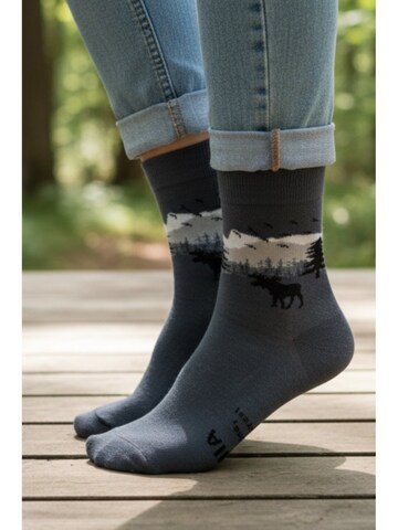 Sokisahtel Sokken 'FOREST cotton socks with a fun message' in Grijs