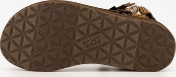 TEVA Sandals in Brown