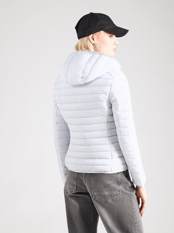 Giacca di mezza stagione 'DAISY' di SAVE THE DUCK in grigio
