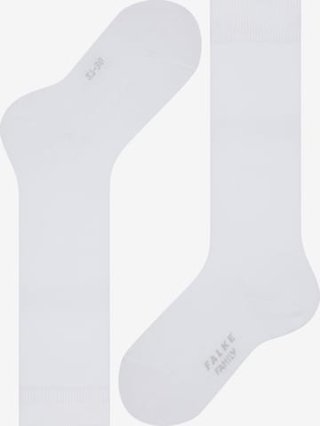 FALKE Socks 'Family' in White: front
