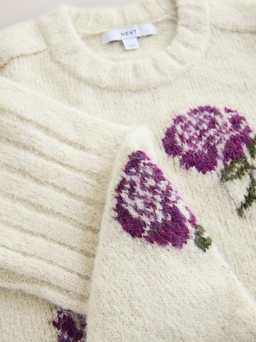 Next Sweater in Beige