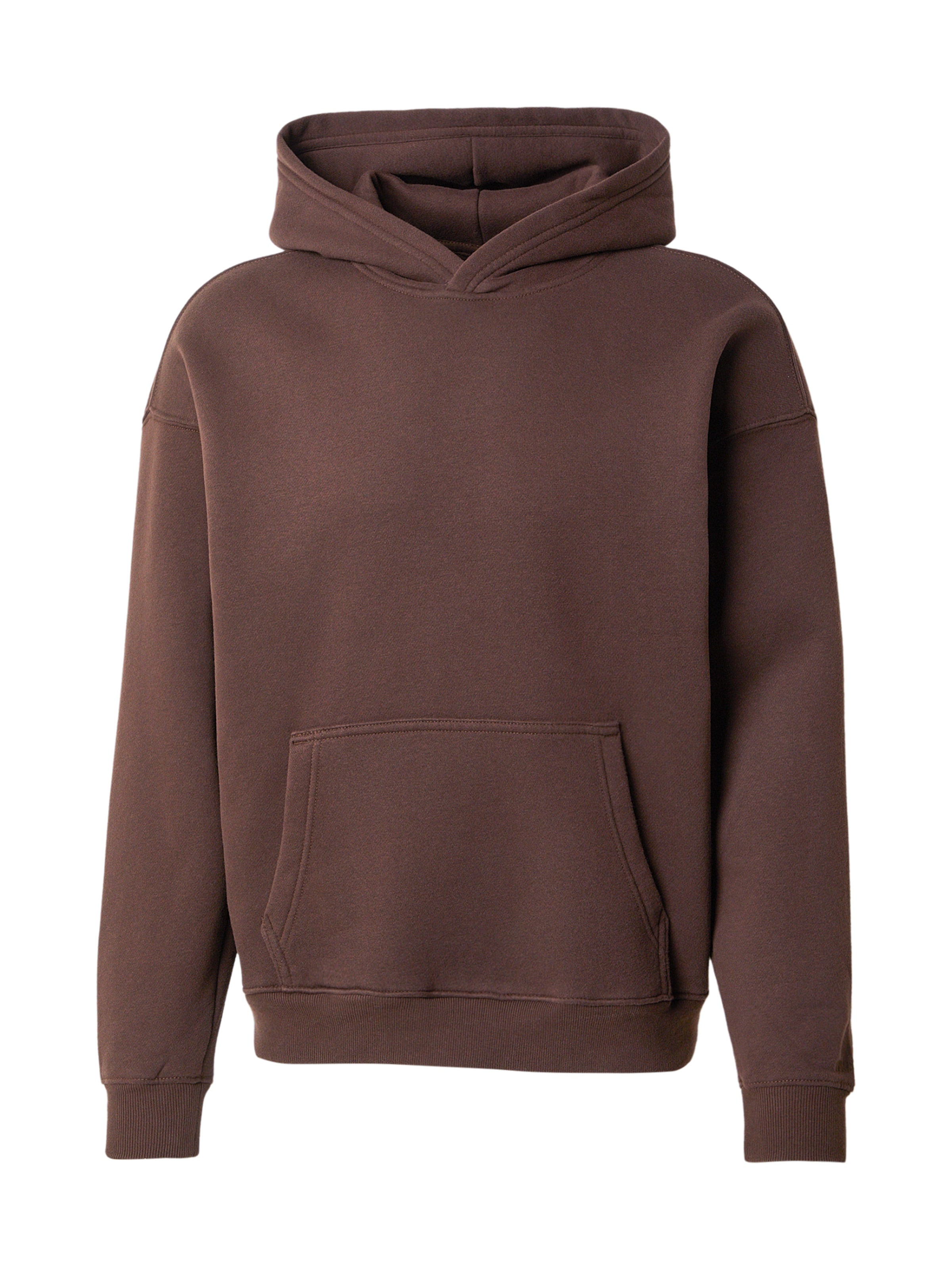 HOLLISTER Sweatshirt in dunkelbraun, Produktansicht