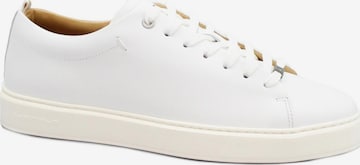 Baskets basses ambitious en blanc : devant
