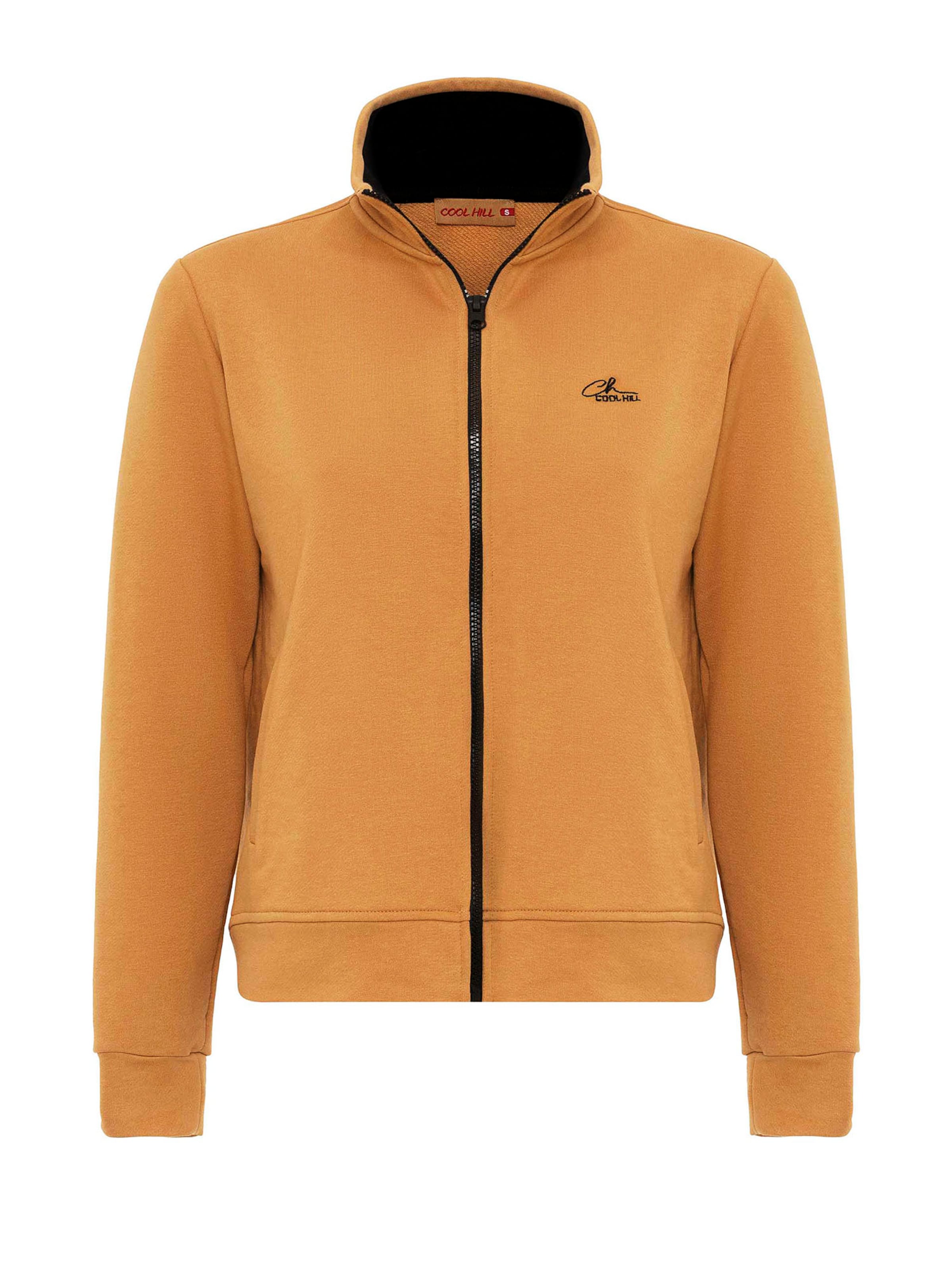 oranžinė Cool Hill Džemperis: priekis