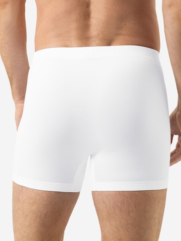 Mey Boxer shorts 'Iconic Modal' in Mixed colors