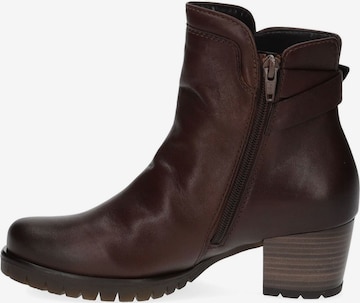 Bottines GABOR en marron