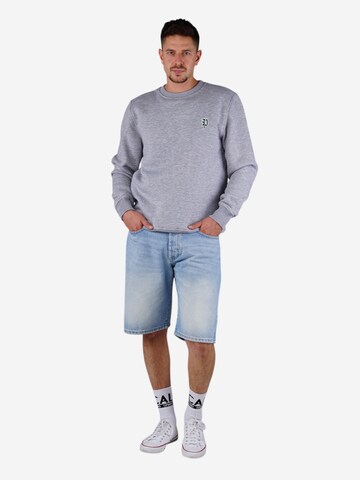 Picaldi Sweatshirt 'P-Label' in Grey