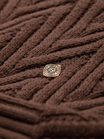 Ombre Sweater in Brown