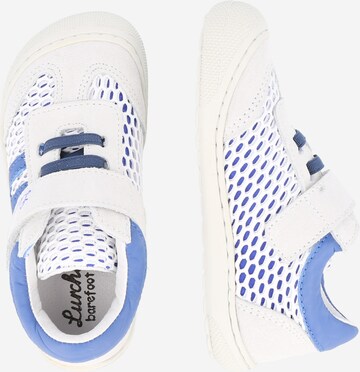 LURCHI Trainers 'TAVI' in Blue