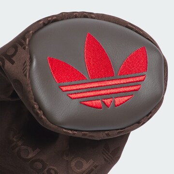 ADIDAS PERFORMANCE Accessory in Brown