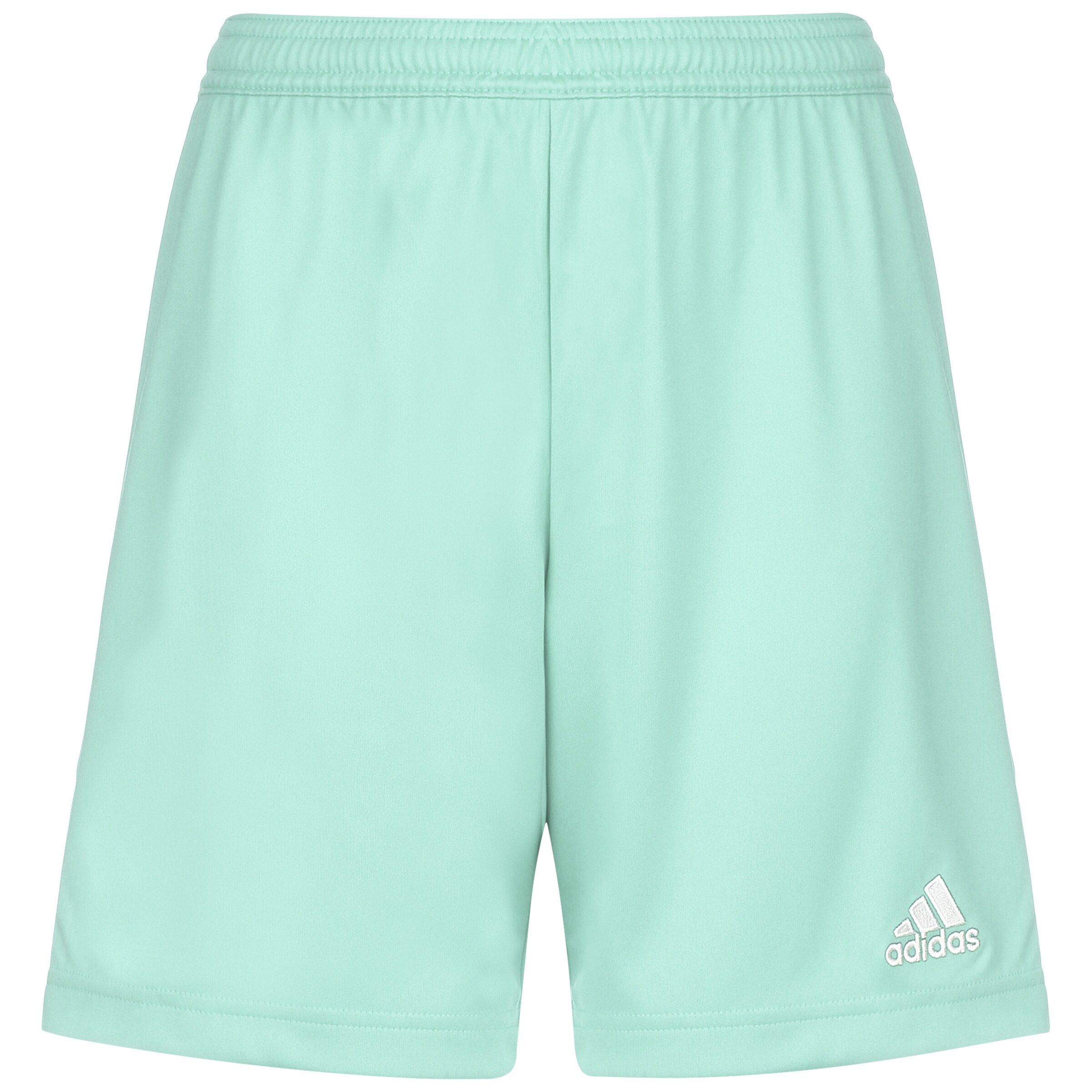 ADIDAS PERFORMANCE Workout Pants 'Entrada 22' in Green: front