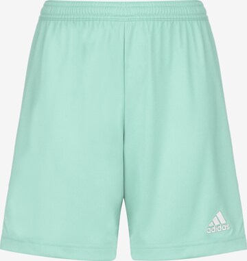 ADIDAS SPORTSWEAR Regular Workout Pants 'Entrada 22' in Green: front