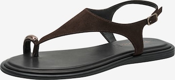 Sandales Tamaris en marron : devant