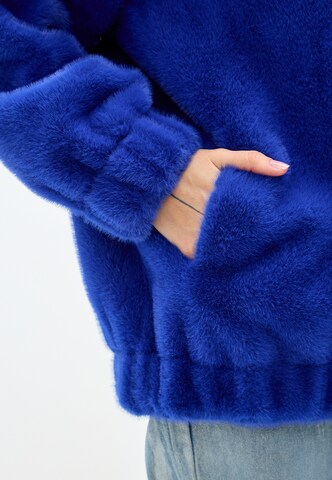 CESARE GASPARI Winter coat in Blue