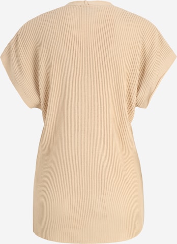 Dorothy Perkins Petite Pullover in Beige