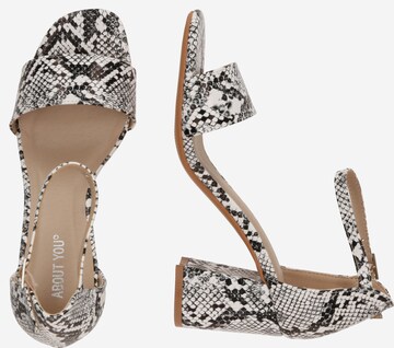 Sandalo 'Alisha Shoe' di ABOUT YOU in nero