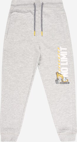 SALT AND PEPPER Pants in Grey: front