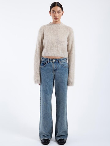 Dr. Denim Trui 'Moira' in Grijs