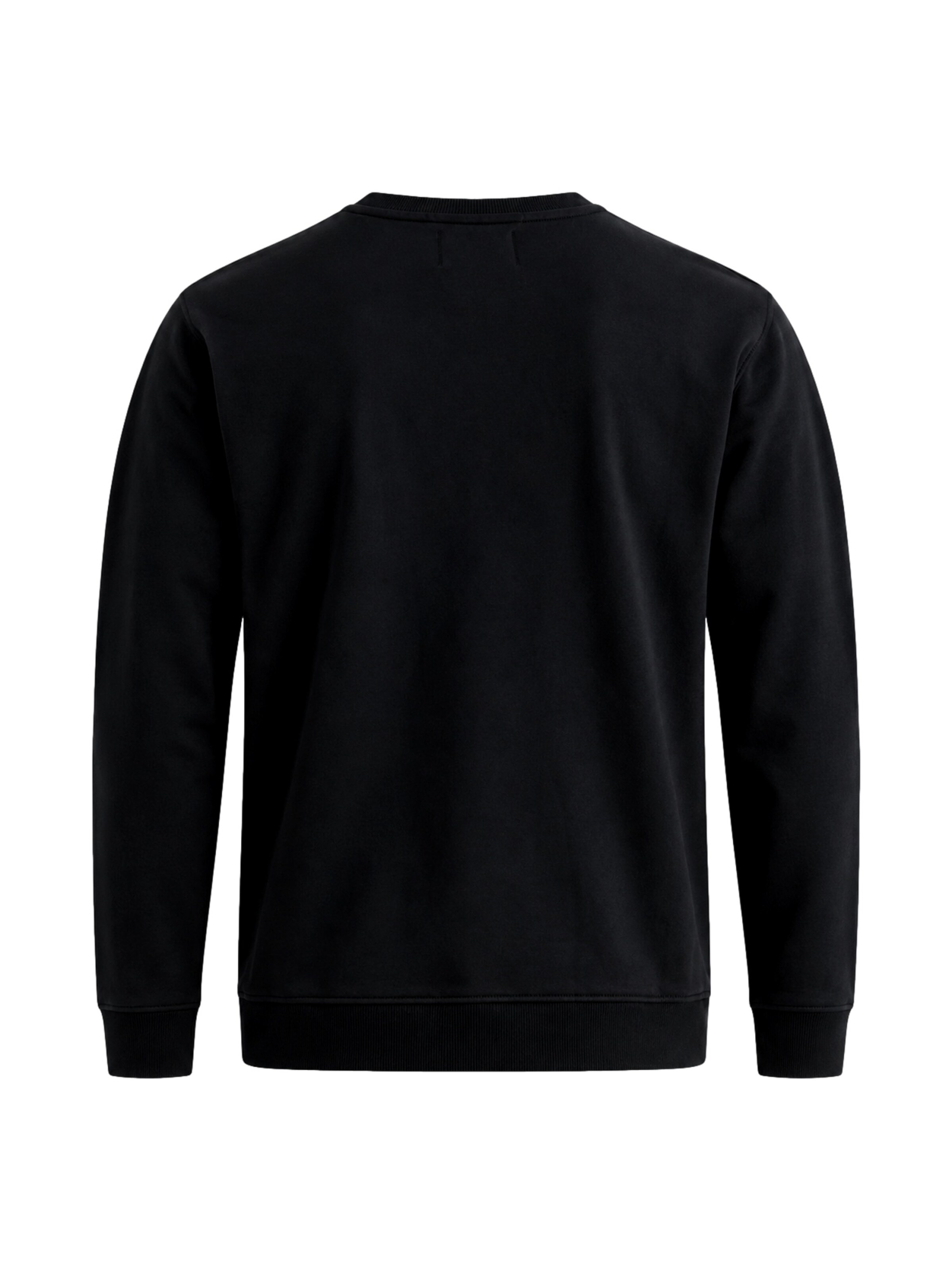 REPLAY Sweatshirt in Zwart