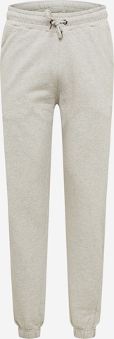 forét Tapered Pants in Grey: front