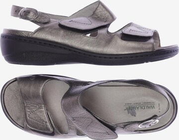 WALDLÄUFER Sandals & High-Heeled Sandals in 41 in Silver: front