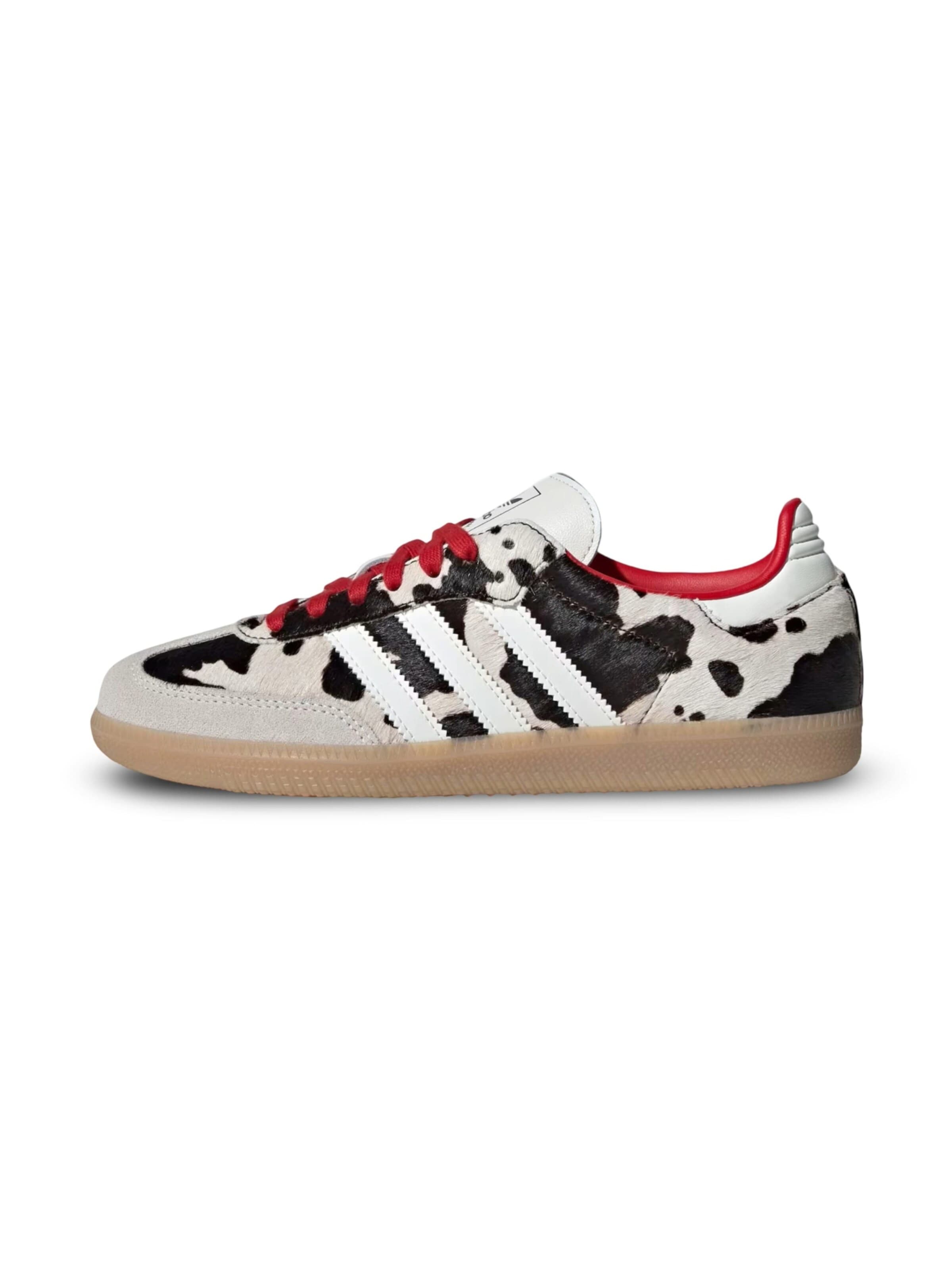 ADIDAS ORIGINALS Sneakers in Mixed colors: front