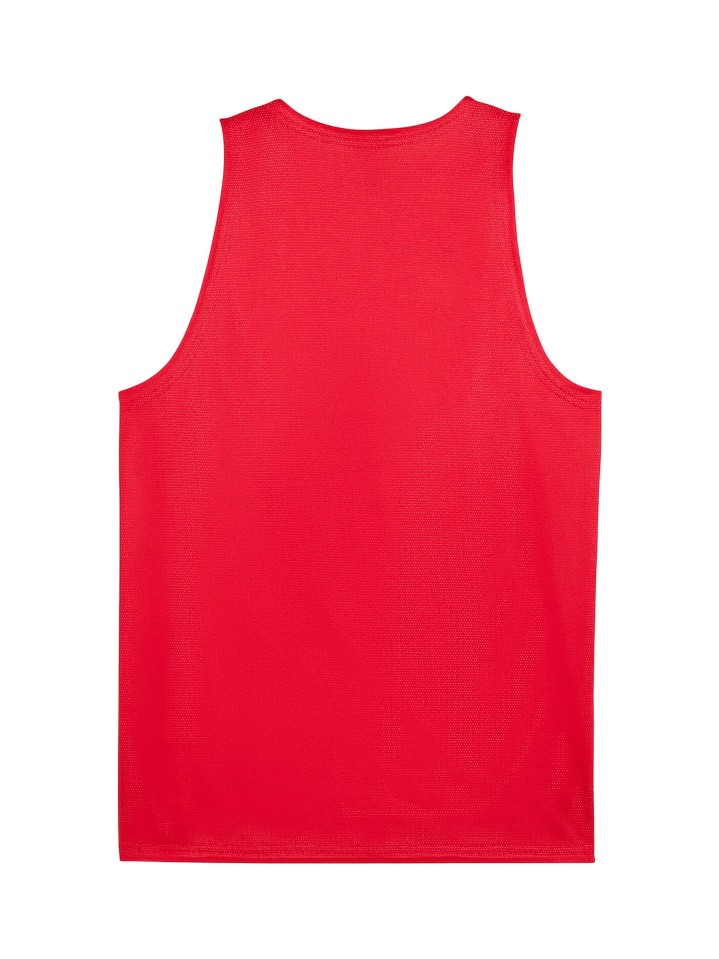 PUMA Trikot 'Teamjaws' in Rot