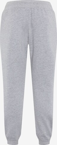 Oklahoma Jeans Tapered Pants in Grey