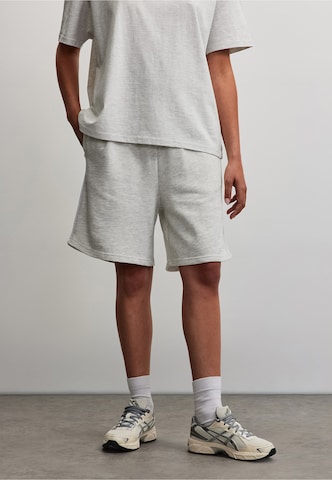 Loosefit Pantalon 'Viseu' Pegador en gris : devant