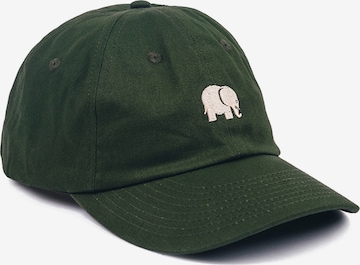 Casquette Trendsplant en vert : devant
