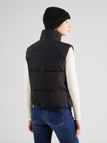 Calvin Klein Jeans Weste in Schwarz