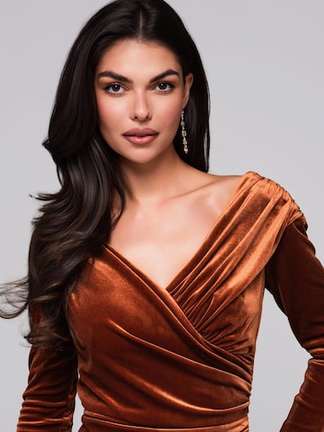 Ombre Evening dress in Brown
