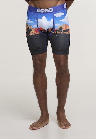 Boxers 'ACE HIGH' PSD en mélange de couleurs : devant