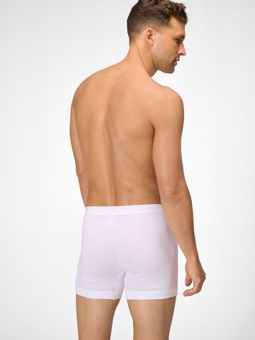 Boxers ' Premium Doppelripp ' Ammann en blanc