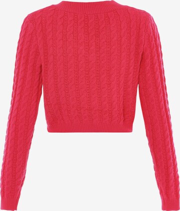 aleva Sweater in Pink