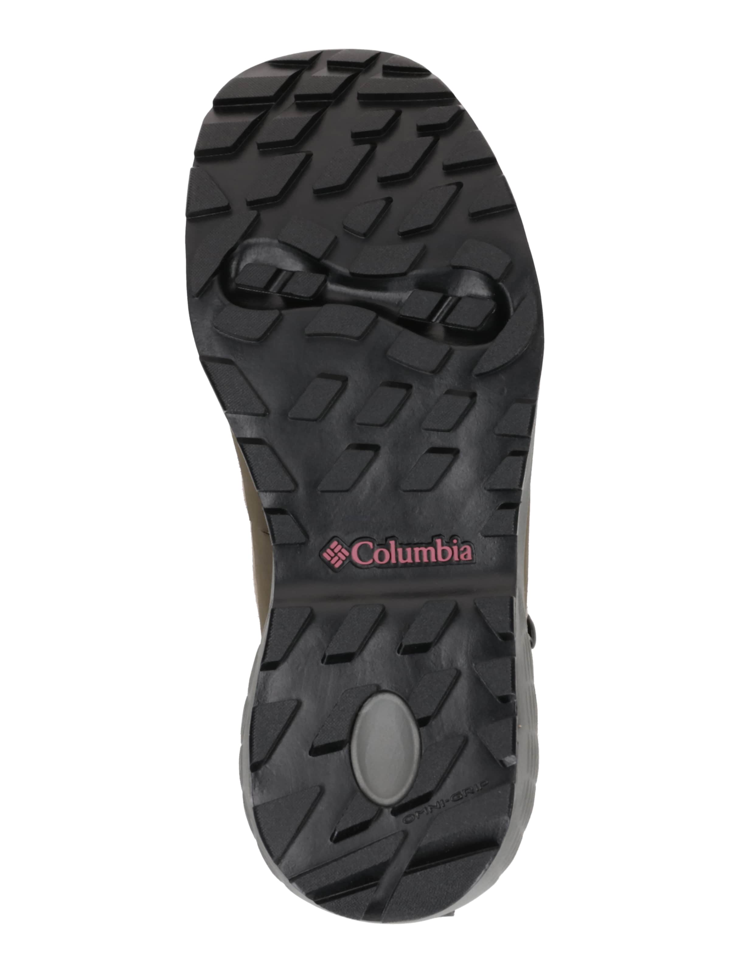 COLUMBIA Boots 'NEWTON ALPINE PT™' σε καφέ