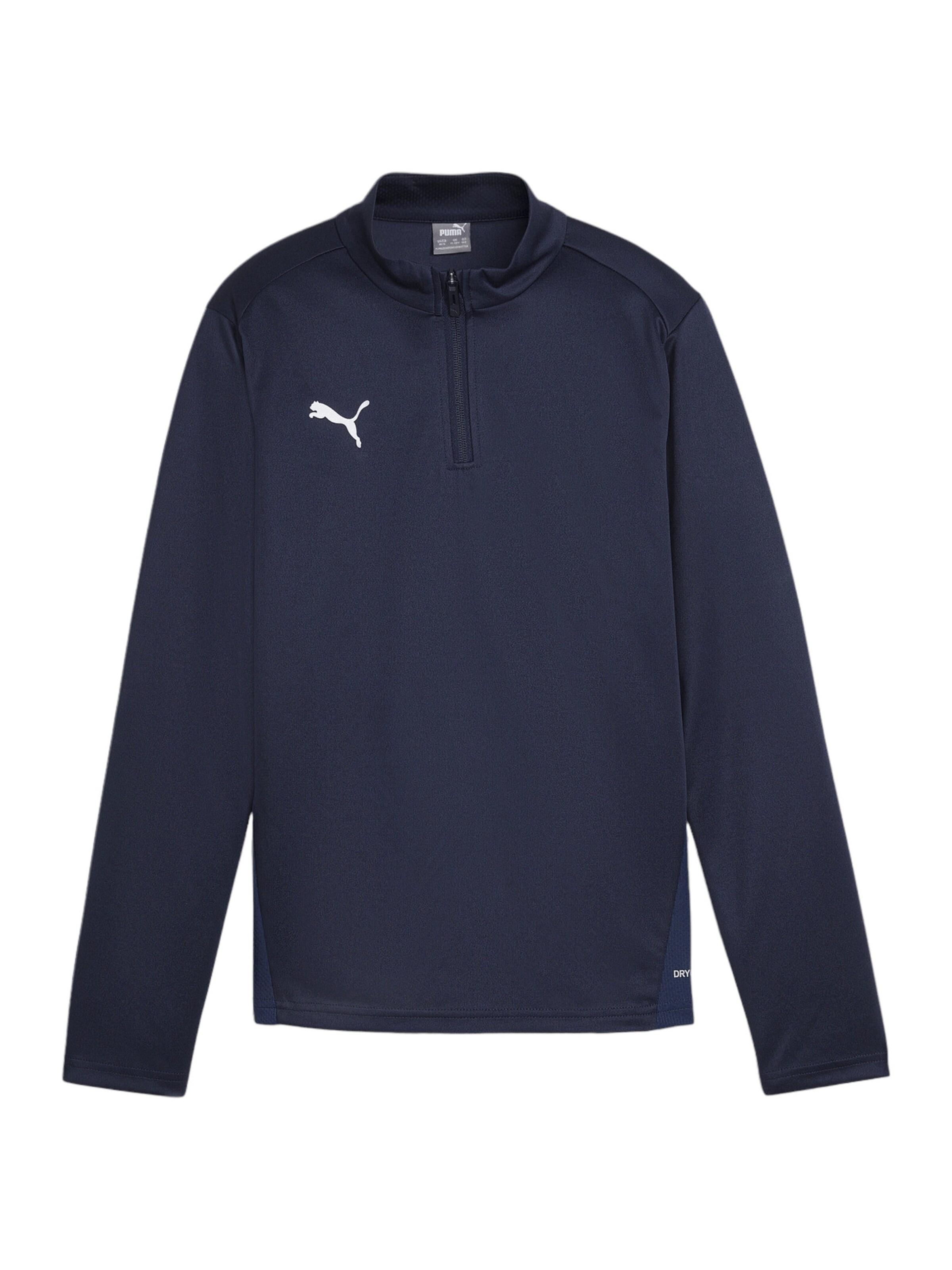 PUMA Funktionsshirt 'TeamGoal' in Blau: Vorderseite
