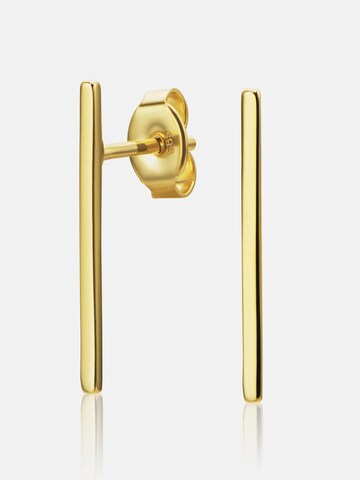 DIAMANT LETERNEL Earrings in Yellow: front