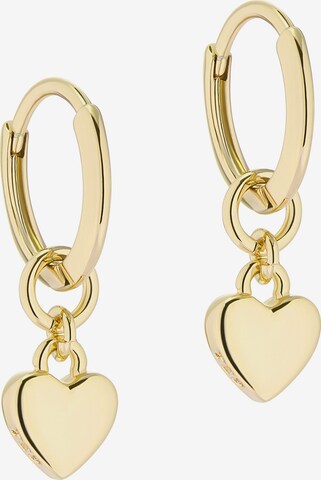 Ted Baker Earrings 'HARRYE' in Gold: front