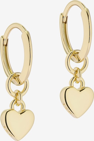Ted Baker Earrings 'HARRYE' in Gold: front