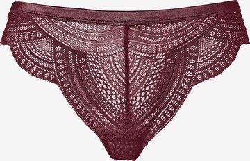 Slip LASCANA en violet