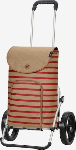 Andersen Shopper Einkaufstrolley 'Eske' in Orange: Vorderseite