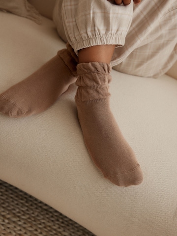 Next Socks in Brown