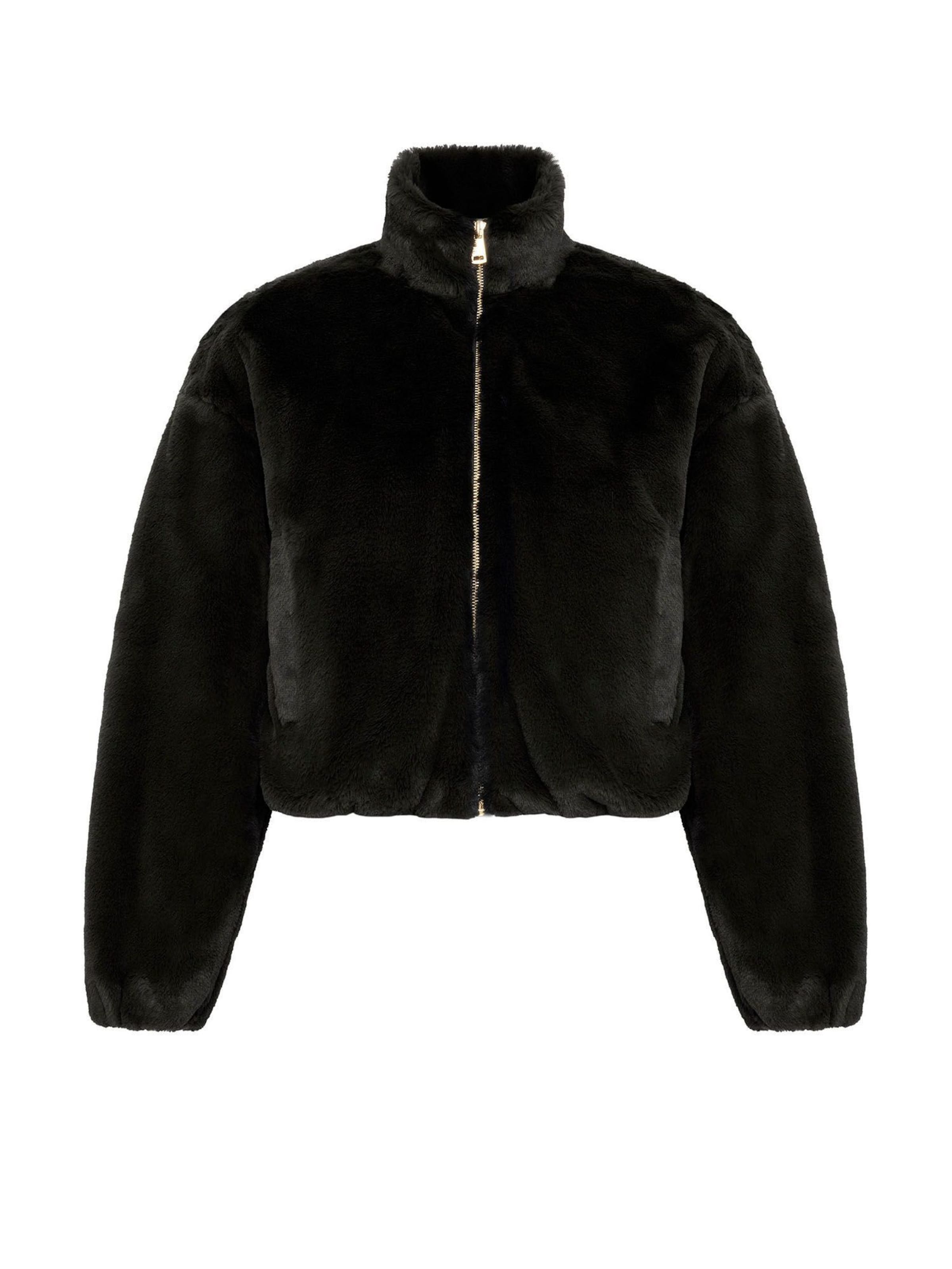 Antioch Kurtka zimowa w kolorze czarny: przód