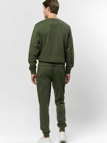 U.S. POLO ASSN. Pullover ' Tais ' i grøn