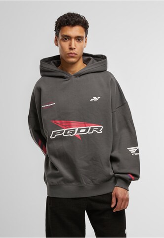 Pegador Sweatshirt 'Dome' in Grijs: voorkant