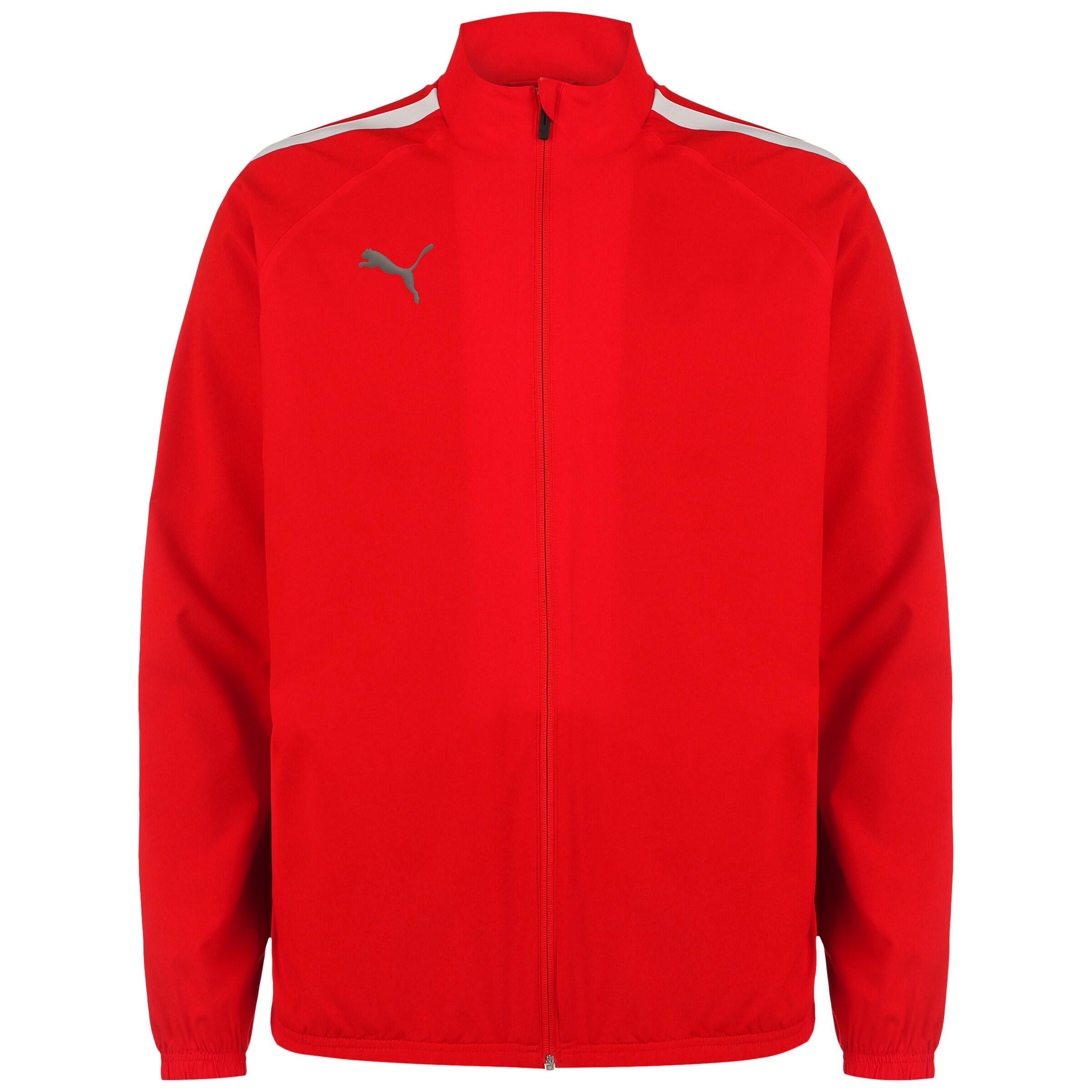 PUMA Trainingsjacke 'TeamLiga' in Rot: Vorderseite